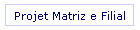 Projet Matriz e Filial